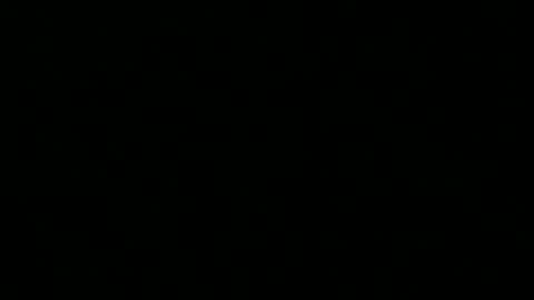 Peter online show from November 15, 11:07 pm