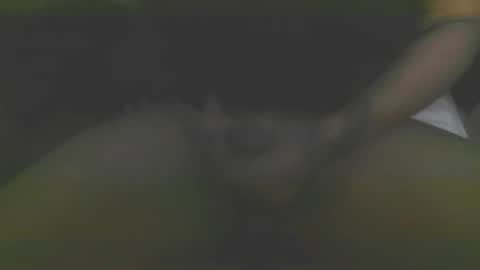 1337assman1337 online show from March 18, 12:08 pm