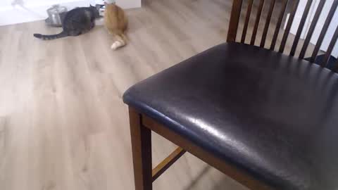 i erupt if you suck ur nipples 4 me and look at the camera while watching me online show from November 8, 1:03 pm