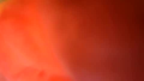24cockrings online show from May 17, 7:43 pm