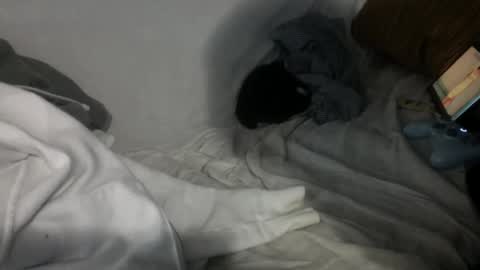 Chris online show from January 22, 7:57 am