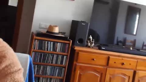  Papi  online show from February 27, 10:27 am