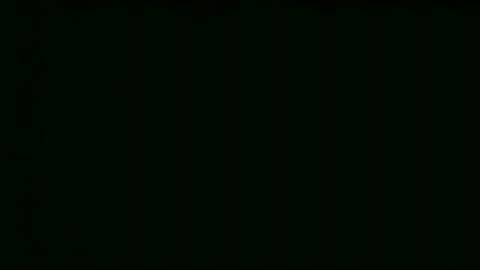 _hairlyboy online show from March 9, 1:05 pm