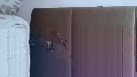 abdil_34 online show from February 8, 7:49 pm