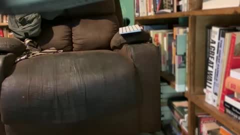 aCACiAs2022 online show from March 4, 4:25 pm