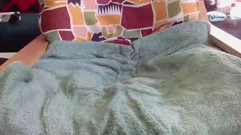 alain5159 online show from March 1, 2:17 pm