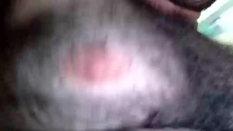 alexdouriet225 online show from February 4, 10:21 am