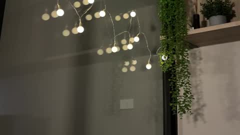 Alex online show from January 23, 6:17 am