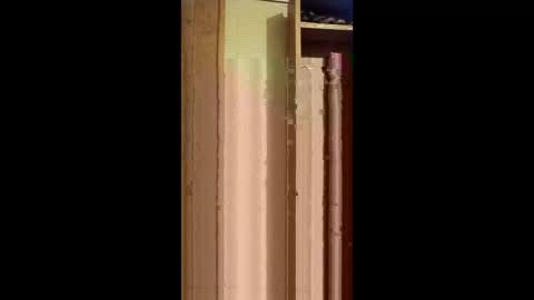 alexxsanchez12345 online show from December 19, 1:57 am