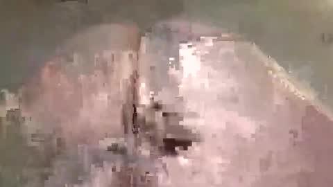 alexxsanchez12345 online show from November 24, 11:17 pm