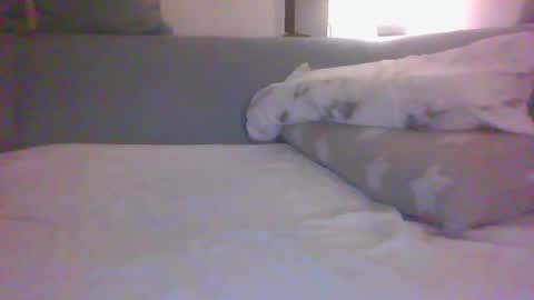 Ali Monaco online show from March 3, 10:29 pm