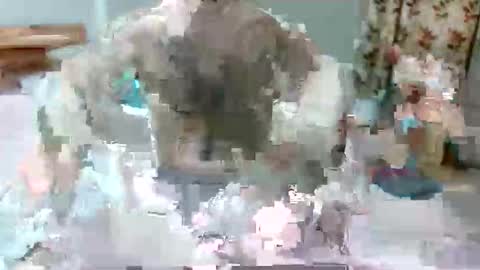 alphajosh online show from October 8, 5:23 am