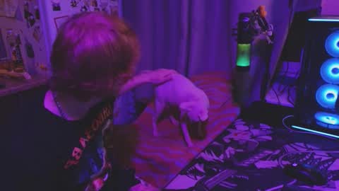 Alvin Puska --    online show from February 6, 11:34 pm