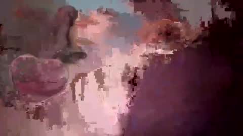 america24t online show from November 8, 6:05 am