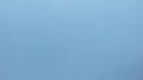 Snapshot of andre_blow chatting on October 9, 12:10 pm Andre Blow online show from October 9, 12:10 pm