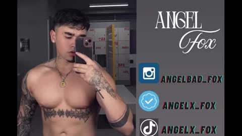 Angel Fox online show from November 10, 5:51 pm