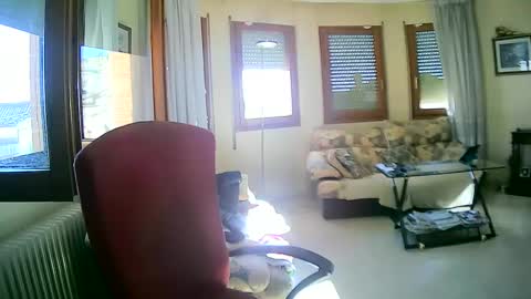 Antonio online show from January 13, 11:19 am