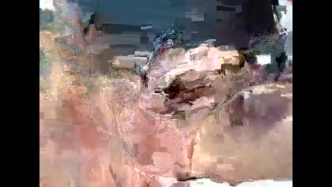 arcade76 online show from February 12, 10:56 am