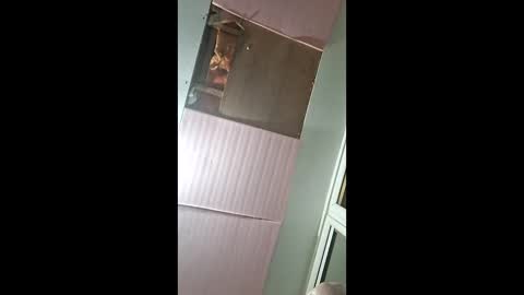 ares42069458722 online show from April 25, 12:04 pm