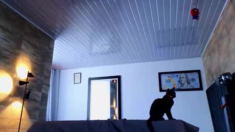 Asmodeo  -   online show from November 30, 6:43 pm