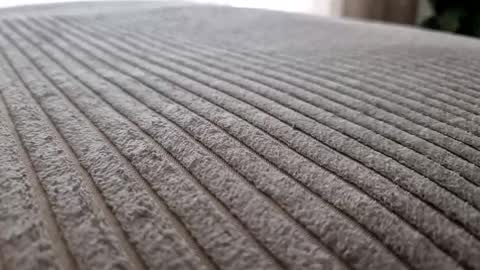 AthleticM online show from January 14, 8:31 am