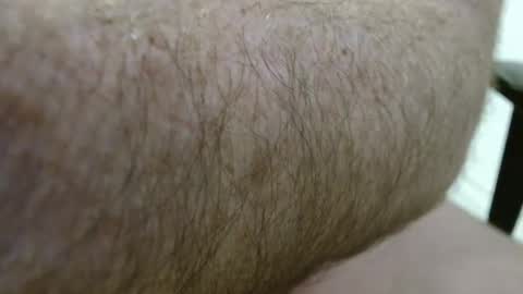 auscock83 online show from December 12, 2:44 pm