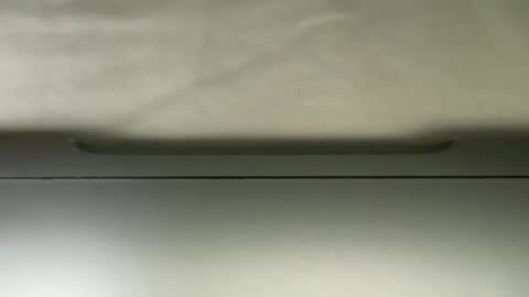 avgdiver online show from November 5, 9:06 pm