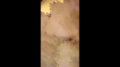 Vemfanvet online show from April 22, 2:29 am