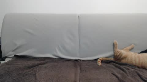 Azer online show from April 4, 11:46 pm