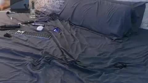 azslamslut2gape online show from November 15, 8:55 pm