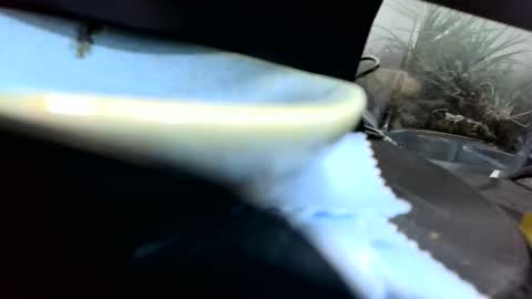 b1234567893 online show from February 13, 11:31 pm