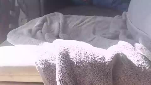 baker305 online show from February 12, 2:12 pm