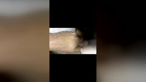 ballafau1213 online show from April 13, 11:44 am