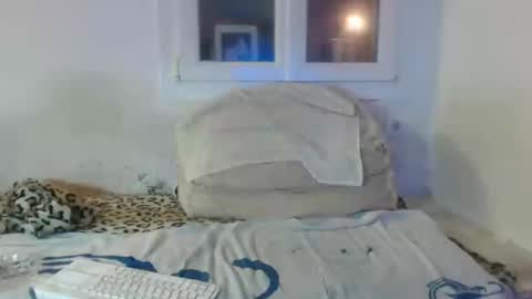 Snapshot of bambino6060 chatting on December 2, 4:40 pm bambino6060 online show from December 2, 4:40 pm