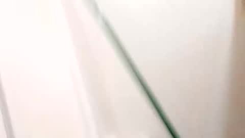 bangass1981 online show from February 16, 8:56 am