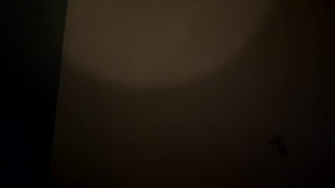 bbc_in_chitwn online show from February 22, 9:34 am