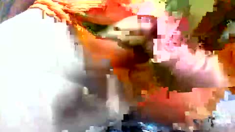 Jim online show from February 3, 2:00 pm