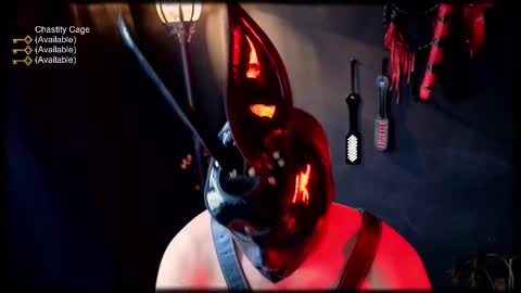 bdsm_rabbit online show from March 12, 12:35 pm