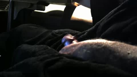 bear4146 online show from January 4, 3:28 pm