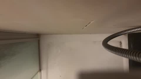 bestpeniseverseen online show from March 5, 5:07 am