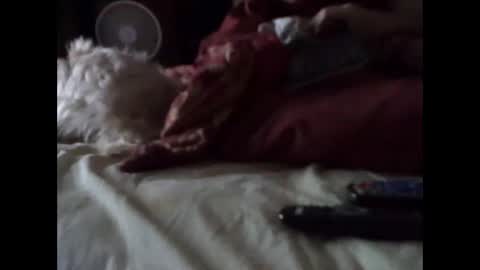 BB online show from March 14, 5:36 am