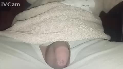 Big online show from February 23, 6:12 am