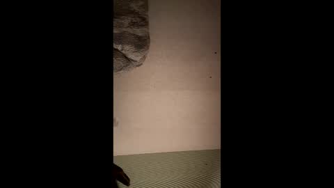 Bearded Dad online show from November 29, 6:26 am