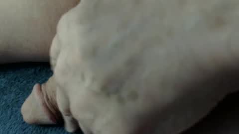 bigdipper58 online show from March 5, 3:29 pm