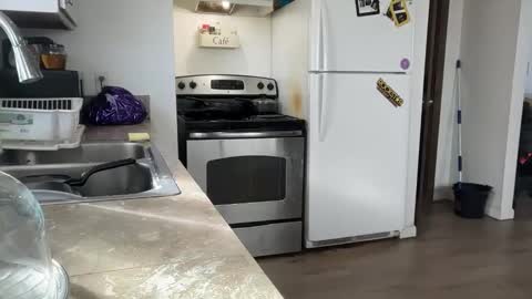 Daniel  Noelia online show from November 27, 8:56 pm