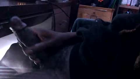 bigmeech7714 online show from February 17, 4:42 am