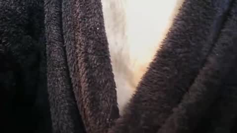 bigukphallus online show from March 27, 8:59 am