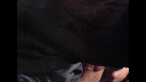 bilco03 online show from November 17, 12:30 pm