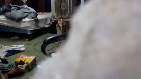 billmenow141 online show from December 28, 9:20 am