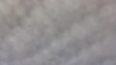 billmenow141 online show from February 11, 10:04 am